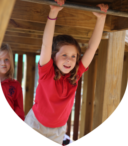 Senior Kindergarten - Portable Network Graphics (526x600), Png Download