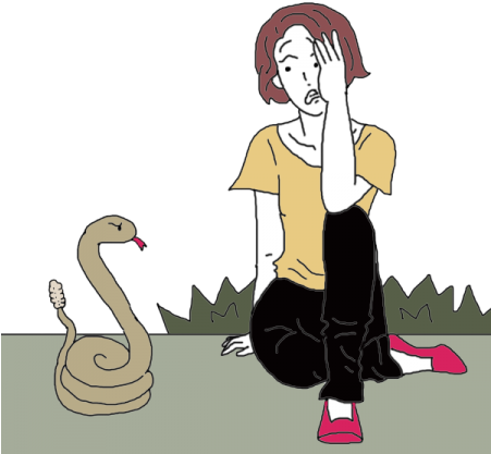 Venomous Snake - Snakes (450x450), Png Download