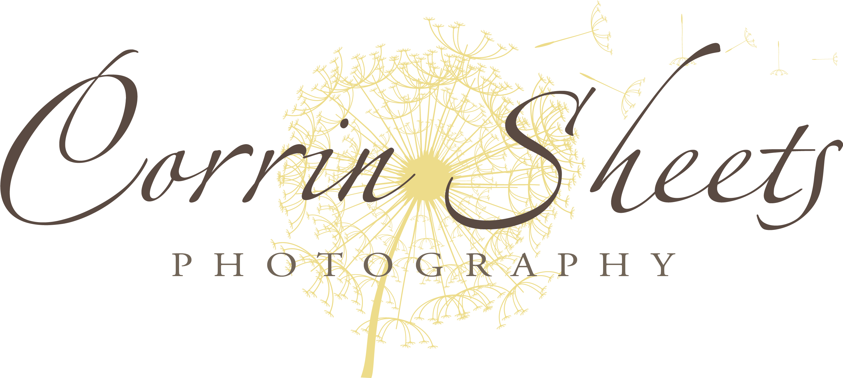 Strandresort Markgrafenheide (2841x1260), Png Download