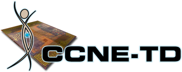 Ccne-td Logo - Logo (620x265), Png Download