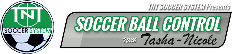 Logo - Tnt Soccer System Soccer Ball Size 5 - Tnt Touch Soccer (800x200), Png Download