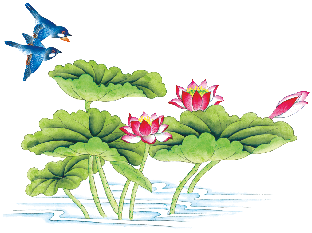 La Pintura Png De La Hoja De Loto De La Aves De Estética - 2011 (1024x1024), Png Download