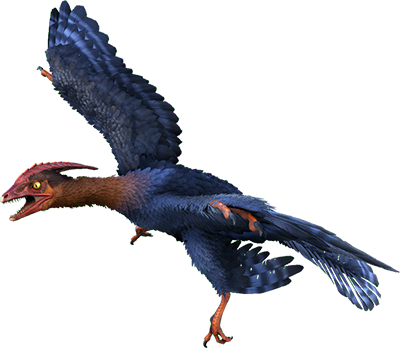 That's A Cute Little Birdierko Outta Nowhere - Dino Dan Microraptor (400x348), Png Download