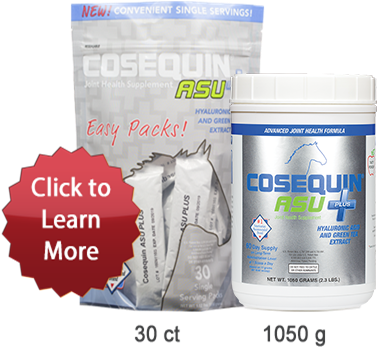 Cosequin® Asu Plus - Cosequin Asu Plus 60 Day Supply Twin Pack (400x540), Png Download