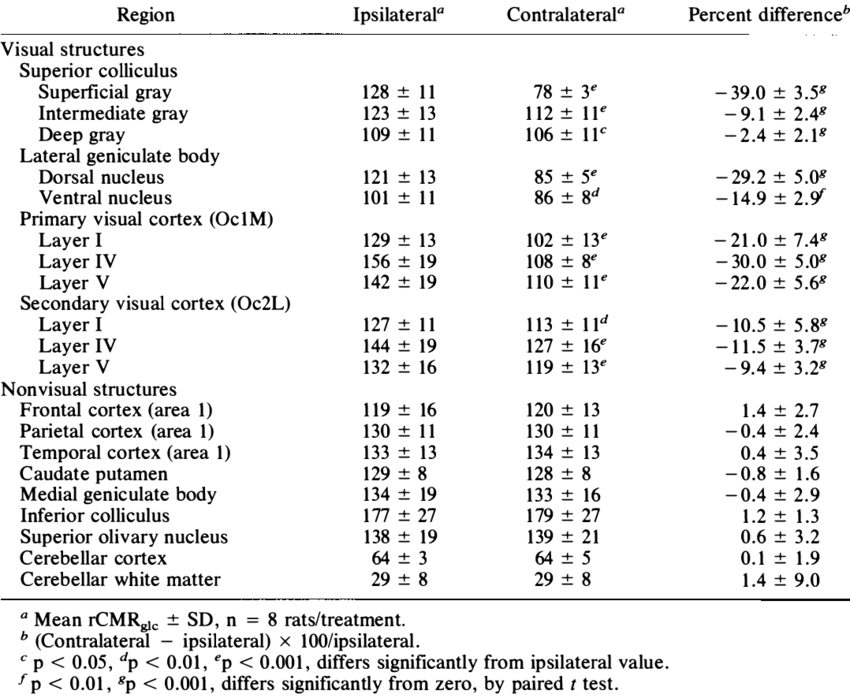 Regional Cmrglc In Awake Hooded Rats 24 H After Unilateral - Document (850x698), Png Download