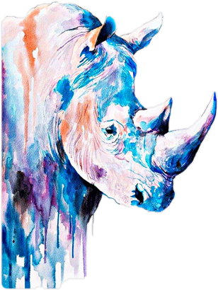 Watercolor Painting Rhino (480x480), Png Download