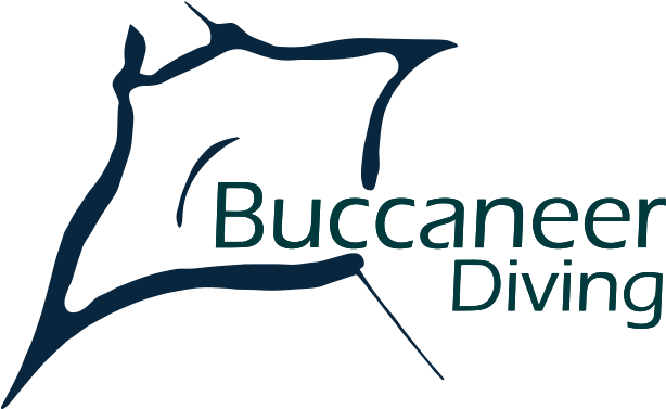 Buccaneer Diving (648x409), Png Download