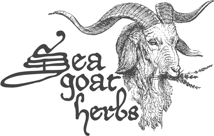 Picture Freeuse Download Sea Goat Herbs - Sea Goat (728x473), Png Download