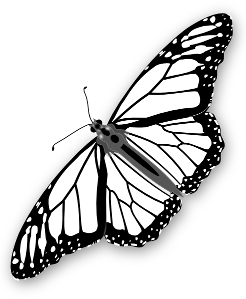 Monarch Coloring Pages (510x598), Png Download