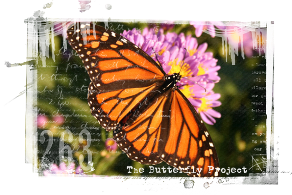 The Butterfly Effect - Things I'm Thankful (600x400), Png Download