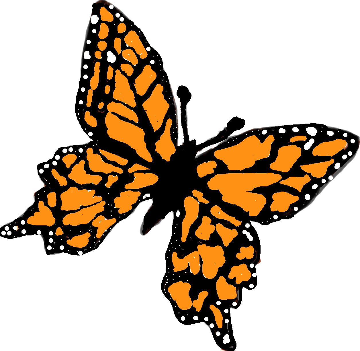 Butterfly Gardens Inc - \butterfly (1256x1224), Png Download