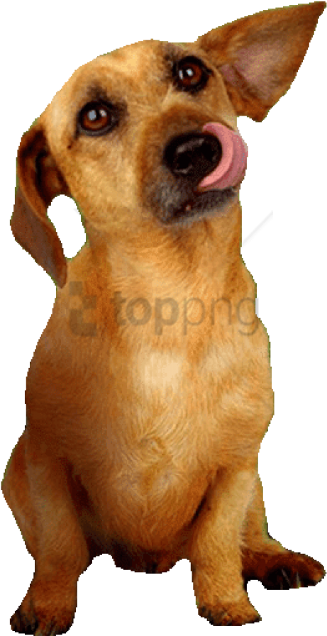 Garfield Odie Png - Garfield 2 Odie (273x518), Png Download