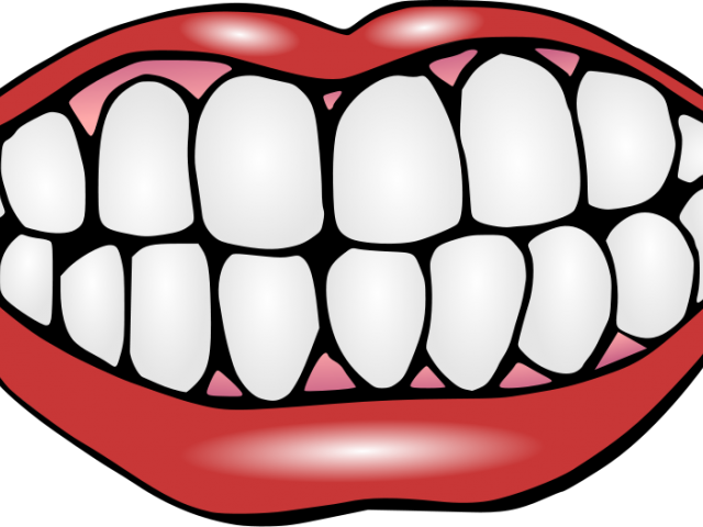Perfect Teeth Cliparts - Teeth Clipart (640x480), Png Download