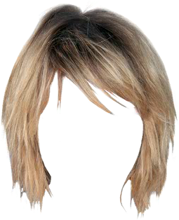 Dianna Agron Medium Straight Casual Hairstyle With - Lace Wig (521x625), Png Download