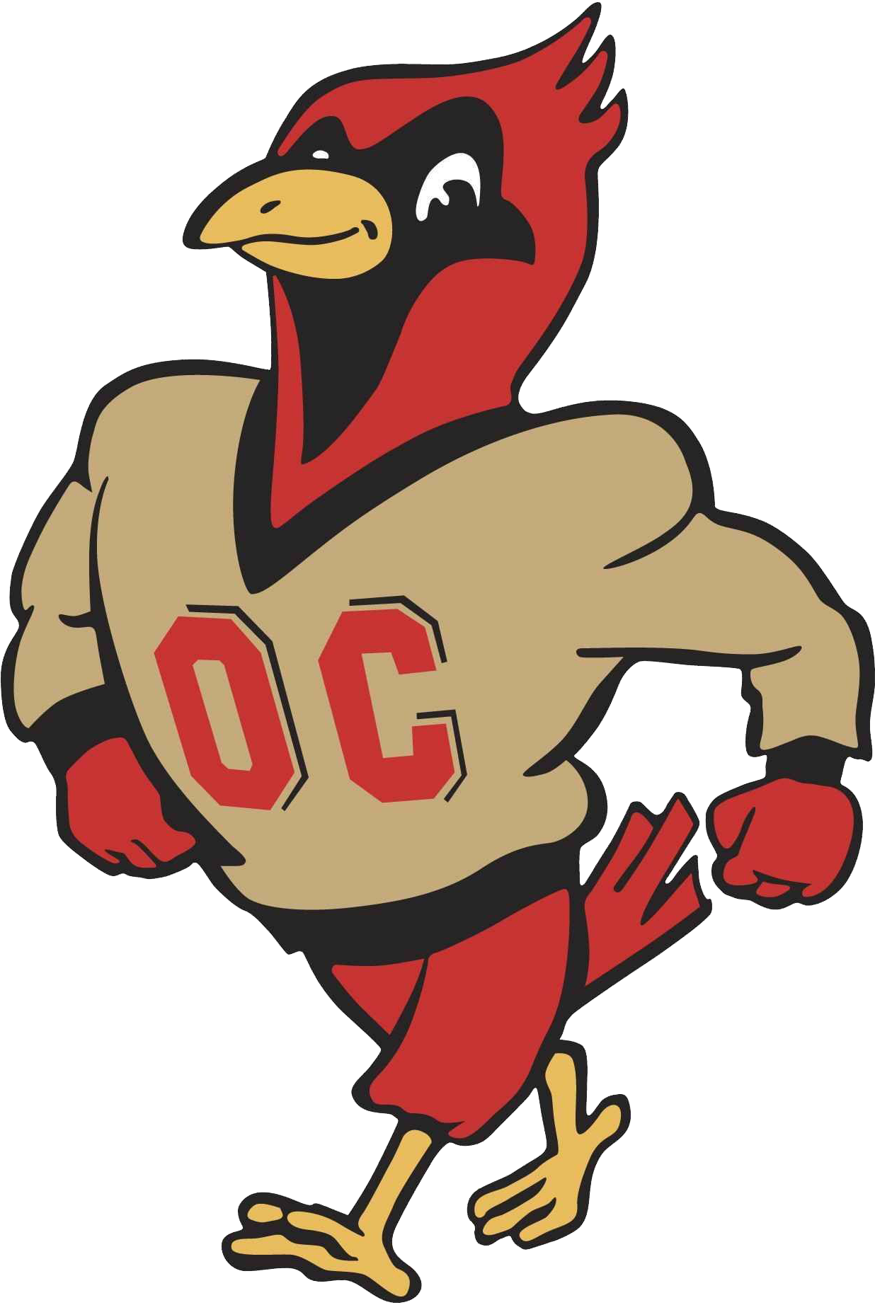 Cardinals, Otterbein University Div Iii, Ohio Athletic - Otterbein Cardinals (1843x1843), Png Download