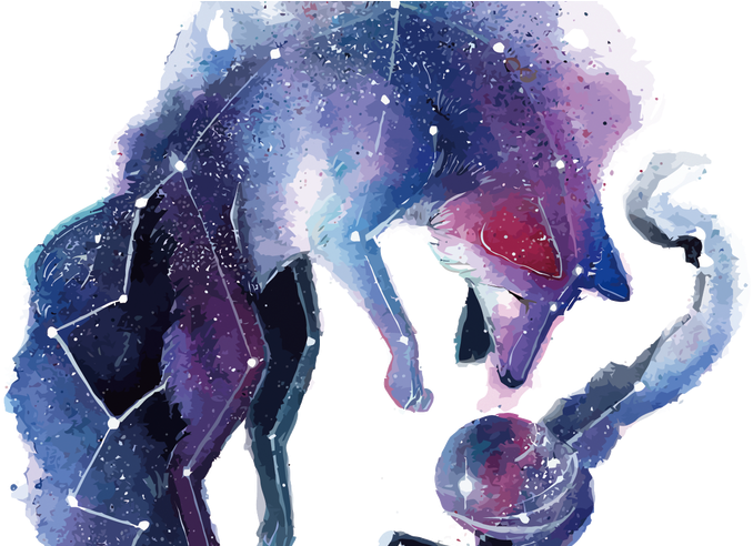 Arctic Fox Red Fox Gray Wolf Deer Vector Star Fox 1500*2000 - Galaxy Fox Art (800x491), Png Download