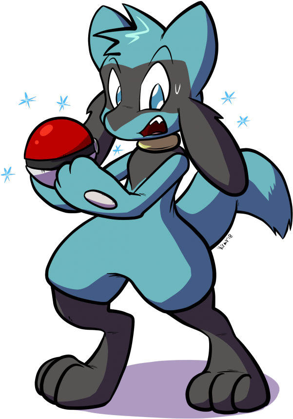 Riolu Ball - Riolu (800x955), Png Download