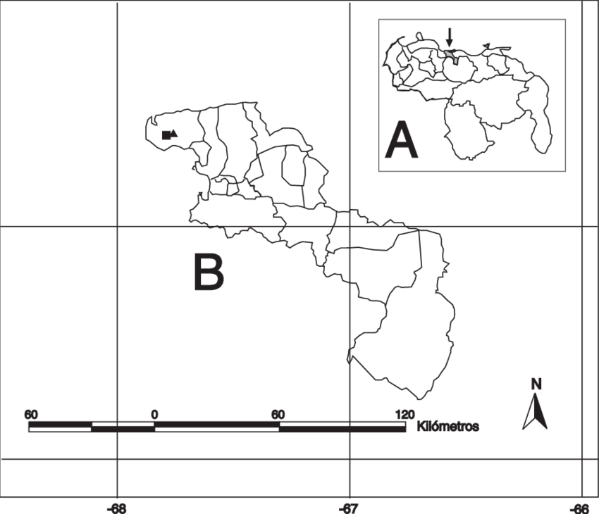 Ubicación Geográfica De Las Localidades De Cumboto - Diagram (850x730), Png Download
