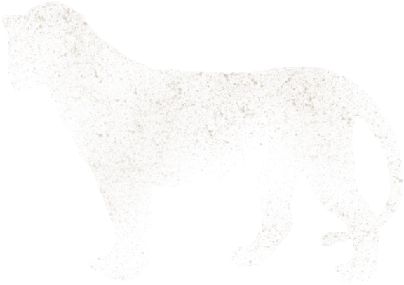 Sock (640x500), Png Download