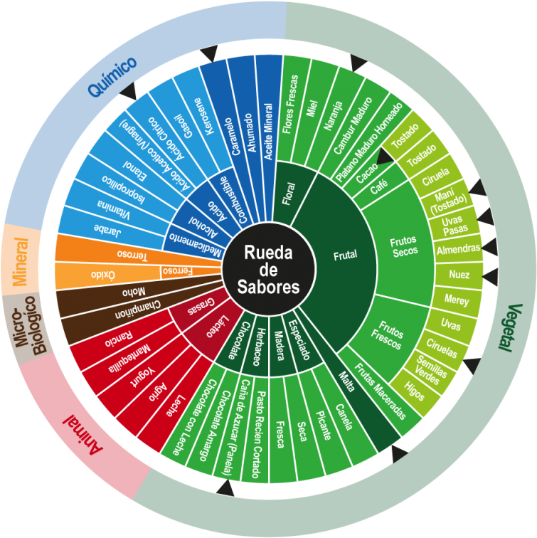 De 0 A 10, Con Acidez Cítrica Limpia De Frutos Tropicales - Circle (768x768), Png Download