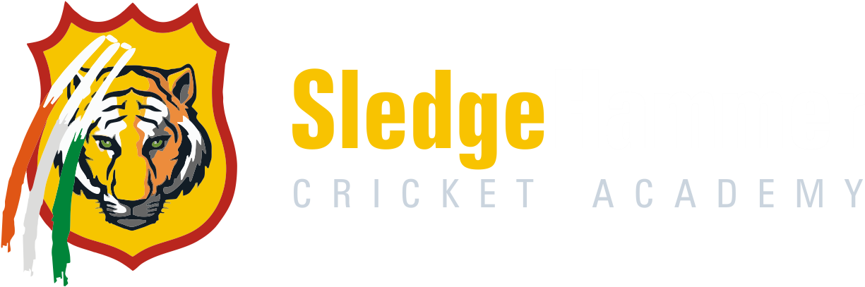 Sledge Hammer Cricket Academy - Collegefangear Depauw 3 Ft X 5 Ft Flag (1283x441), Png Download