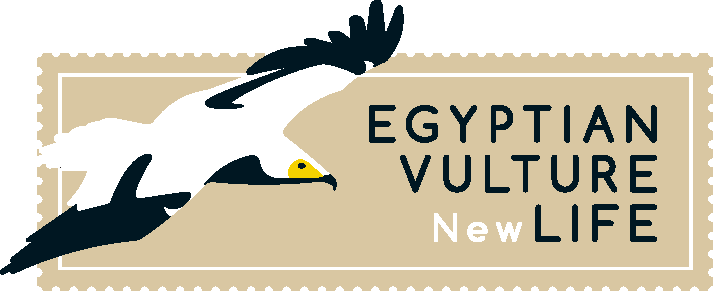 Vulture New Life\ - Sofia Zoo (713x291), Png Download