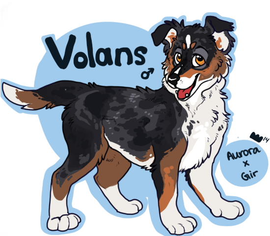 Picture - Dog Catches Something (640x480), Png Download