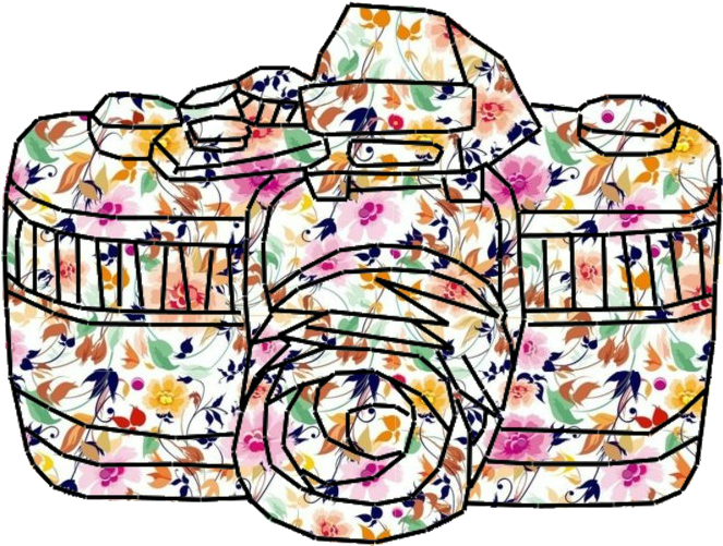 Camara Png - Camaras De Colores Png (778x562), Png Download