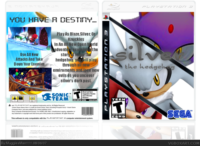 Silver The Hedgehog Box Art Cover - Silver The Hedgehog Ps3 (700x525), Png Download