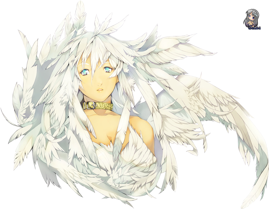 07 Dec 2010 - Anime (885x682), Png Download