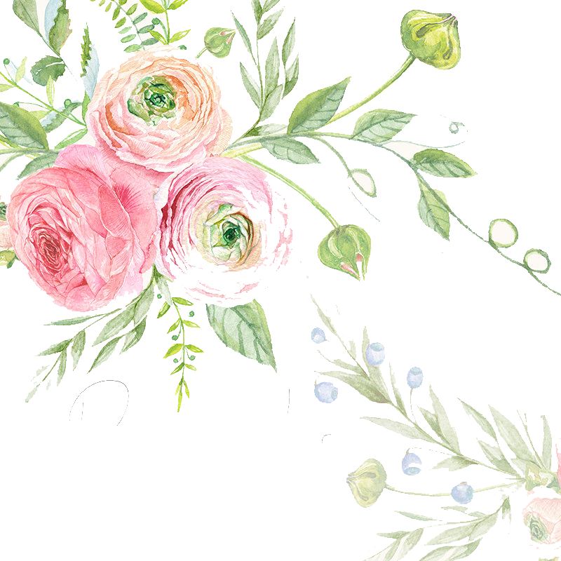 Wedding Invitation Watercolor Painting Drawing Flower - Rose (800x800), Png Download