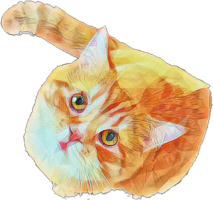 Orange Cat Png (444x424), Png Download
