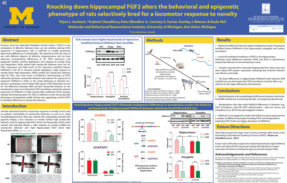 Eaurbach Sas2014 Final - University Of Michigan (1000x637), Png Download