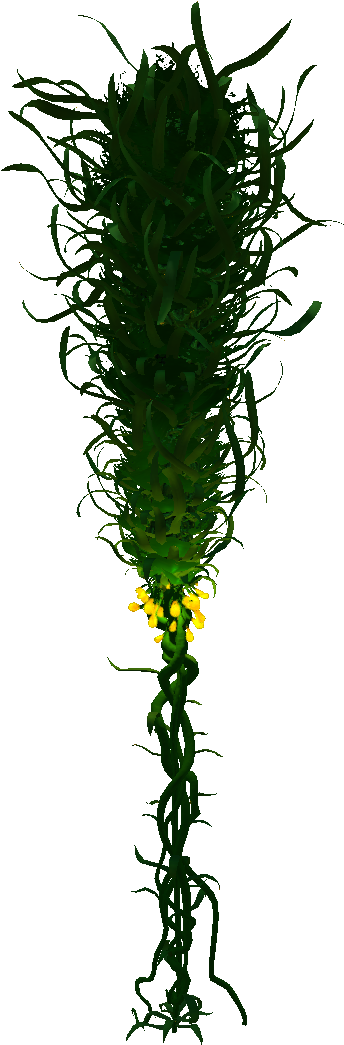 Creepvine - Creepvine Subnautica (810x1080), Png Download
