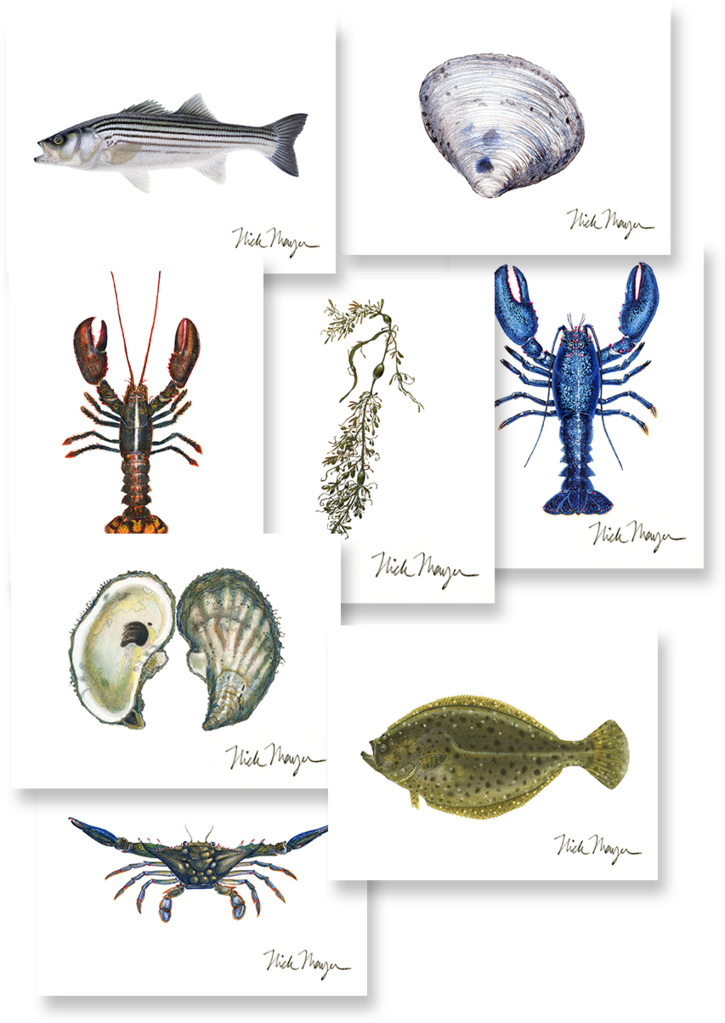 Coastal Boxed Assortment - Coupon (725x1023), Png Download