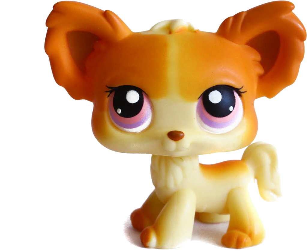 Lps Chihuahua Png (1600x1067), Png Download