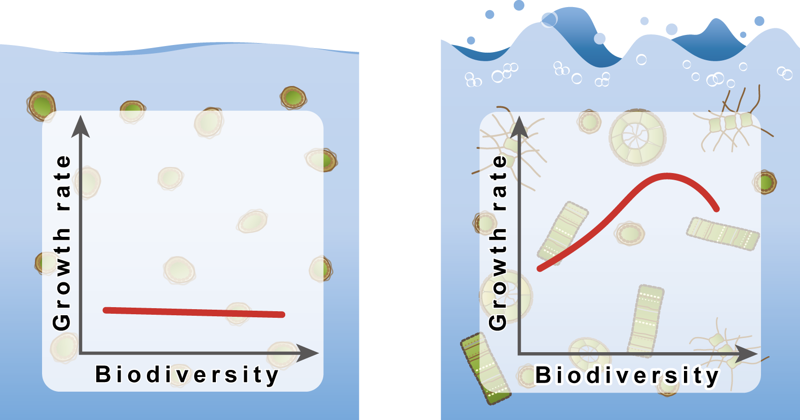 Related Links - Ecosystem (1579x830), Png Download