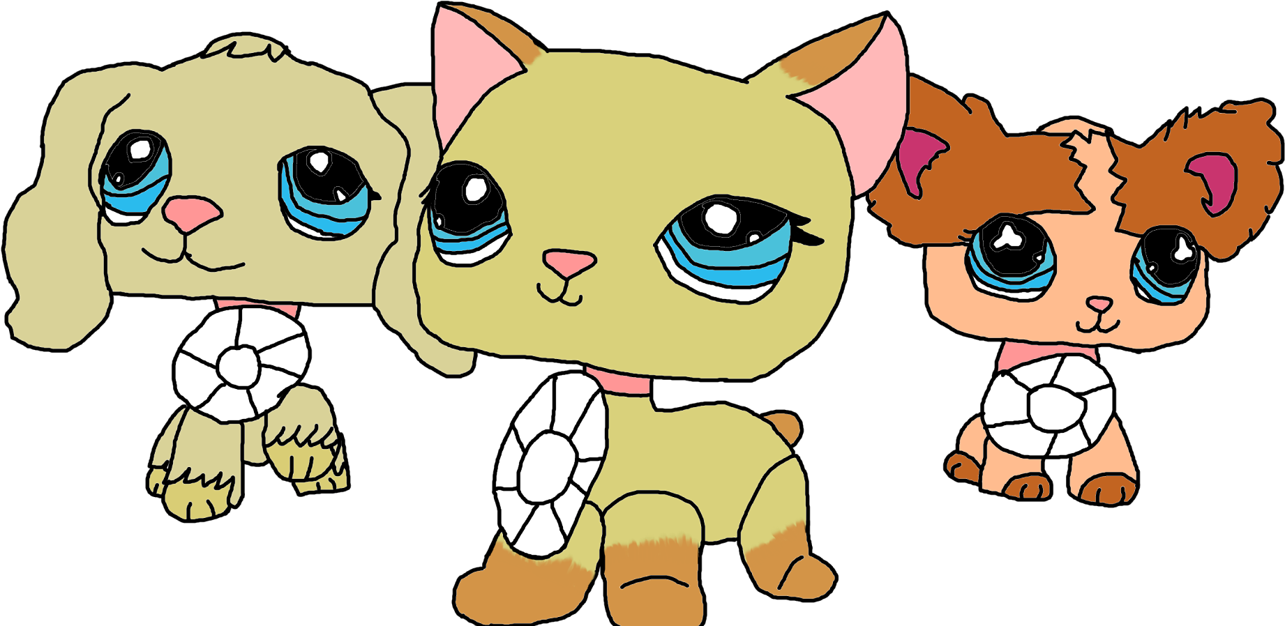 Photograph (2048x1151), Png Download