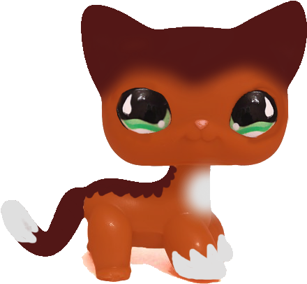 Photograph (513x490), Png Download