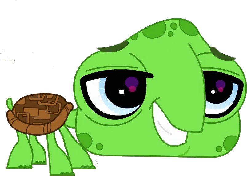 Turtle Vector Png - Lps Turtle (862x647), Png Download