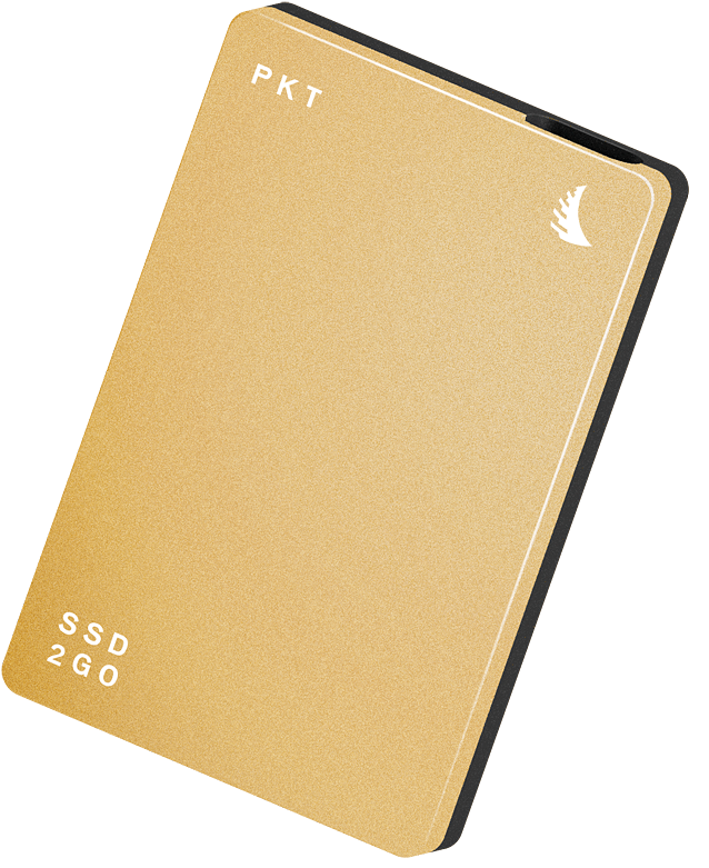 Angelbird Ssd2go Pkt External 512gb Ssd - Angelbird Ssd2go Pkt 256 Gb External Ssd (silver) (1000x1000), Png Download