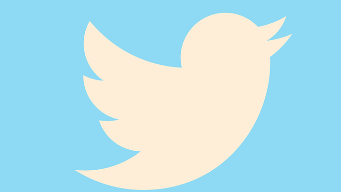 Clipart Freeuse Download Promises Investigation Into - Twitter Bird Icon White (688x387), Png Download