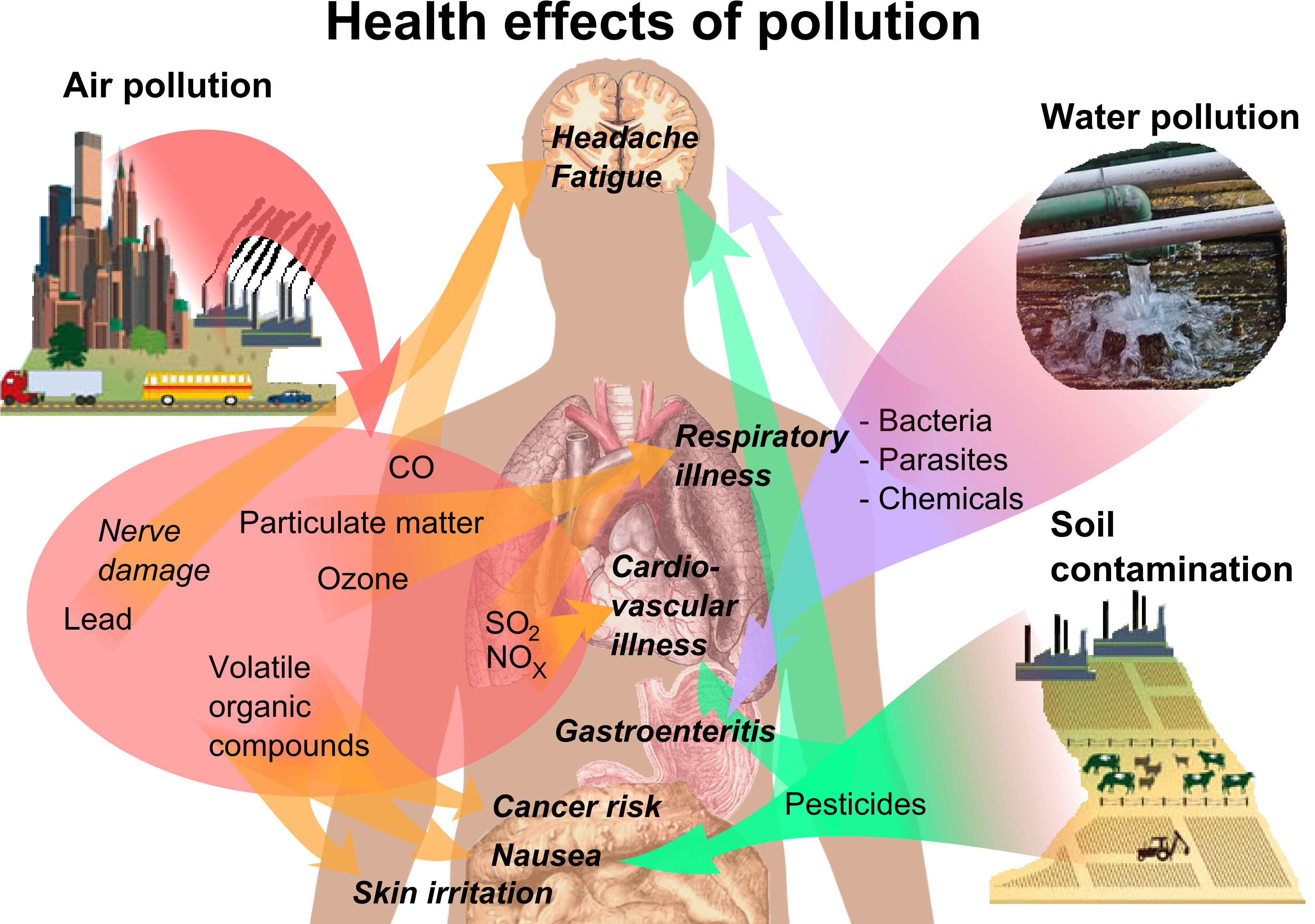 Health Effects Of Pollution - Plastic Impact On Human Health (3294x2340), Png Download