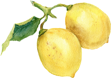 Lemon - Watercolor Painting (575x575), Png Download