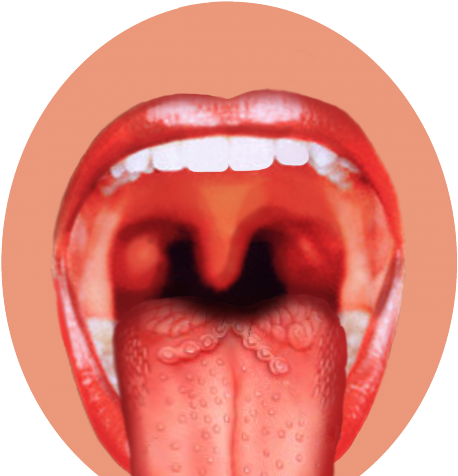 Drawn Tongue Png Transparent - Taste Buds Png (640x480), Png Download