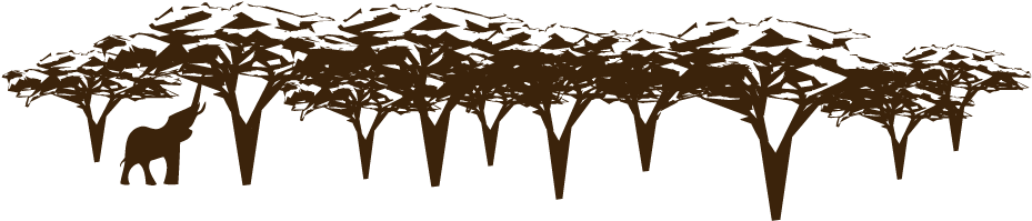 Wild Places Tree Canopy With Elephant Bigger - Snow (940x218), Png Download