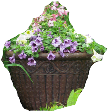 Garden Pot7 14 125 Png - Pansy (400x384), Png Download