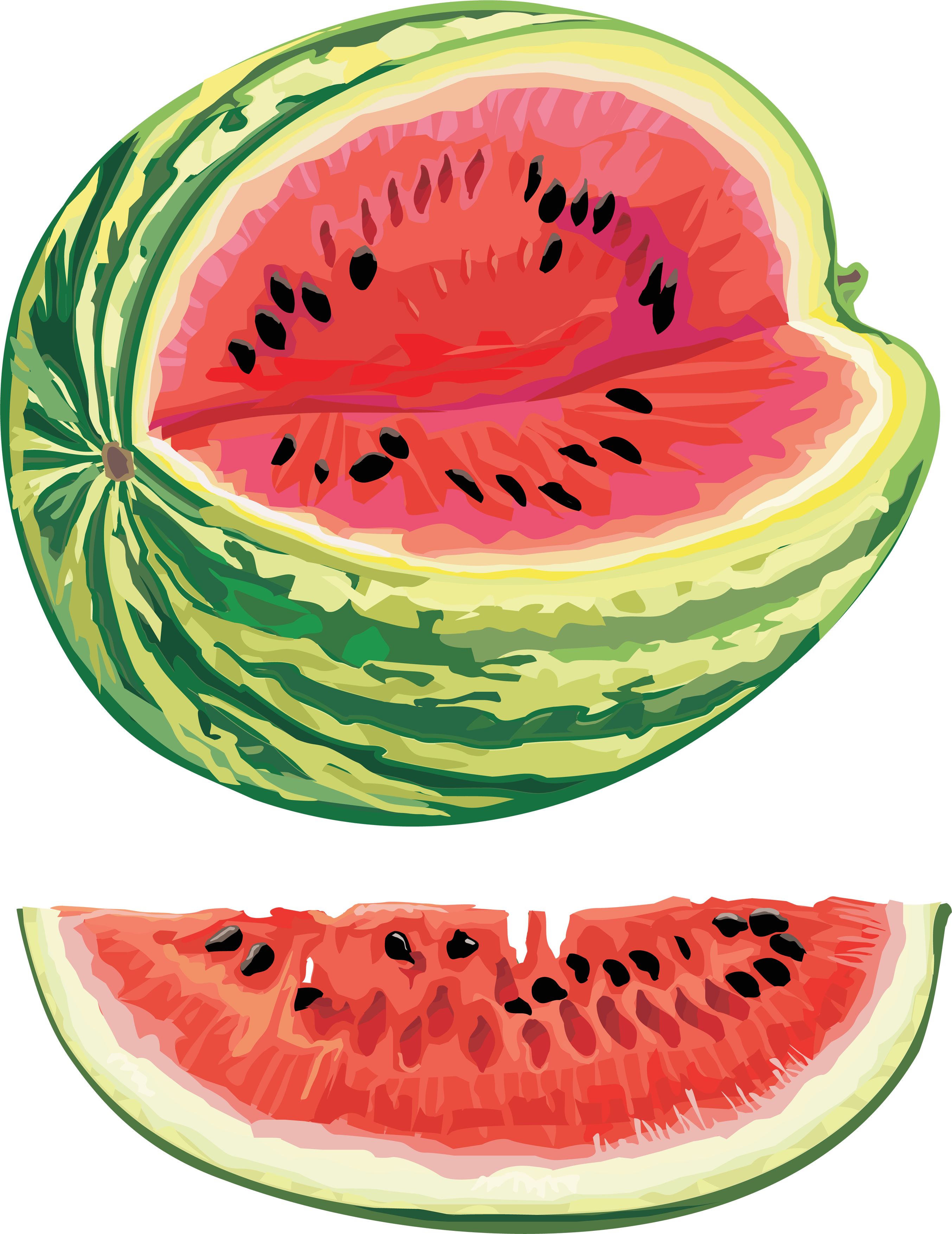 Watermelon Png (2707x3506), Png Download
