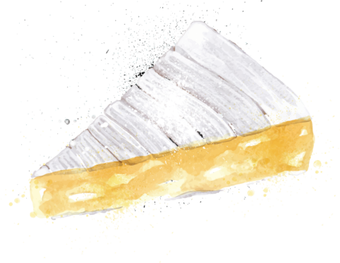 They Carry A Light, Bright Flavour And Often Carry - Watercolor Paint (480x371), Png Download