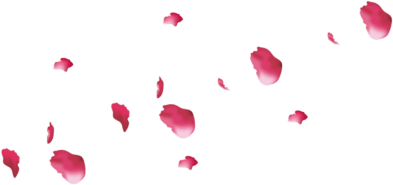 Pink Rose Petals Png (1445x676), Png Download